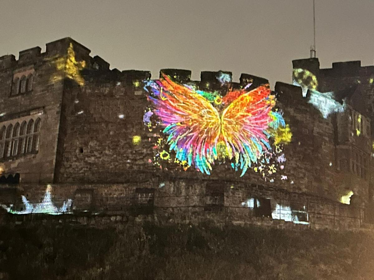 Butterfly projection on Tamworth Castle